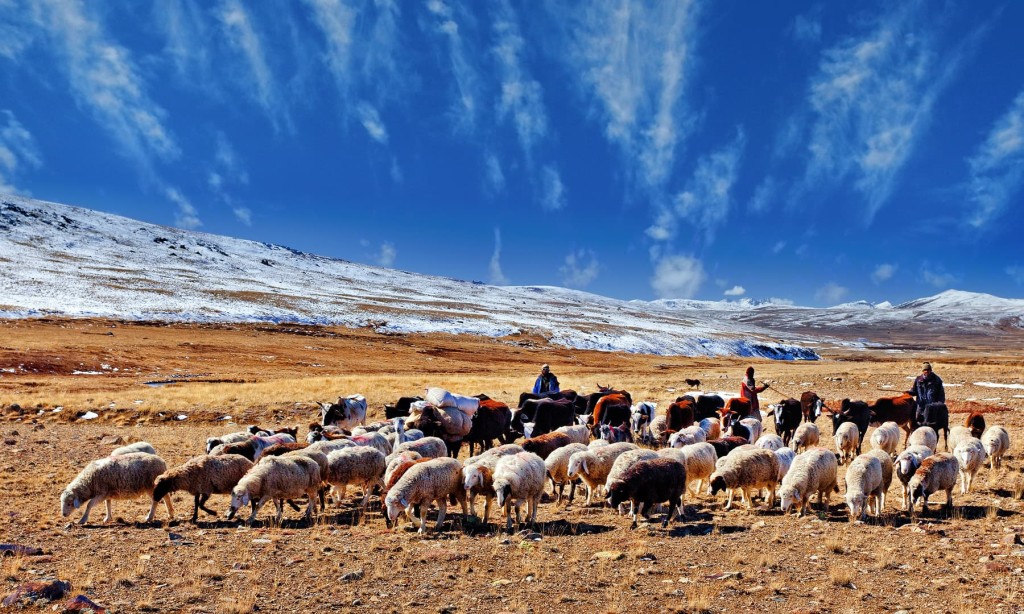 Nomads of Deosai