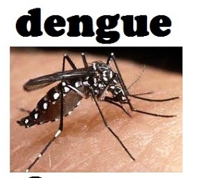 Dengue Fever Symptoms