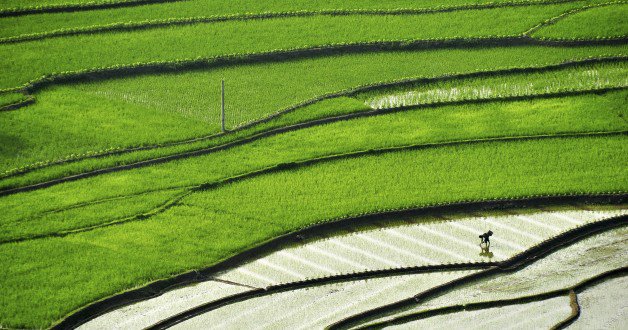 Business – Defining the future of agriculture
